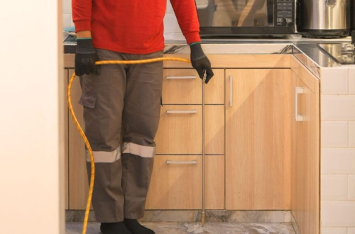 Pentingnya Menggunakan Jasa Anti Rayap untuk Perlindungan Bangunan